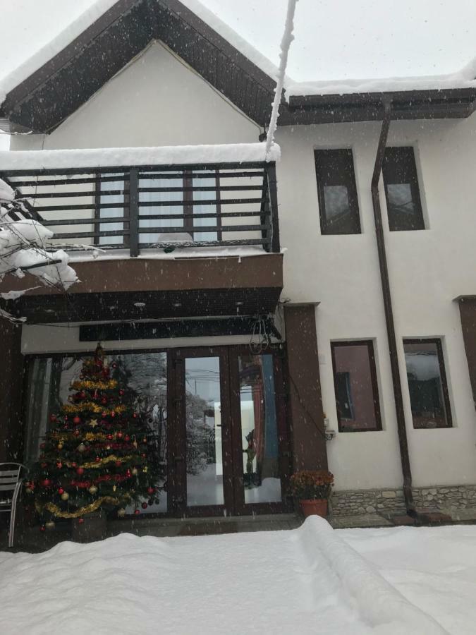 Upstairs Residence Тиргу-Жіу Екстер'єр фото